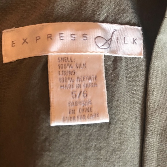 Express Silk Dress - Picture 3 of 4